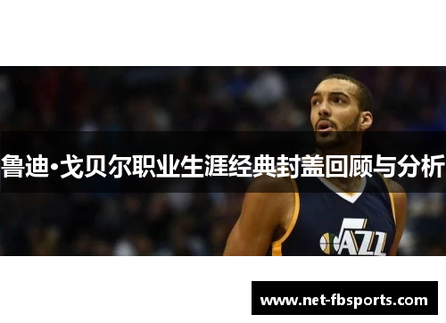 鲁迪·戈贝尔职业生涯经典封盖回顾与分析