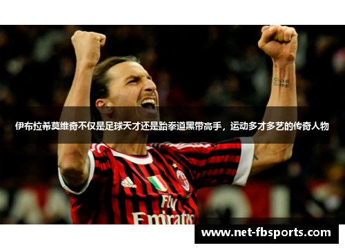 伊布拉希莫维奇不仅是足球天才还是跆拳道黑带高手，运动多才多艺的传奇人物