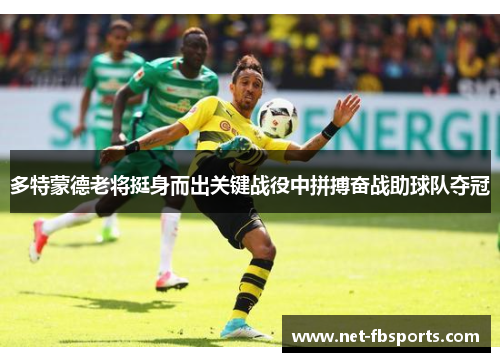 多特蒙德老将挺身而出关键战役中拼搏奋战助球队夺冠