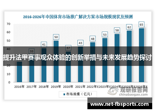 提升法甲赛事观众体验的创新举措与未来发展趋势探讨