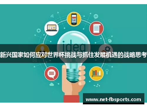 新兴国家如何应对世界杯挑战与抓住发展机遇的战略思考