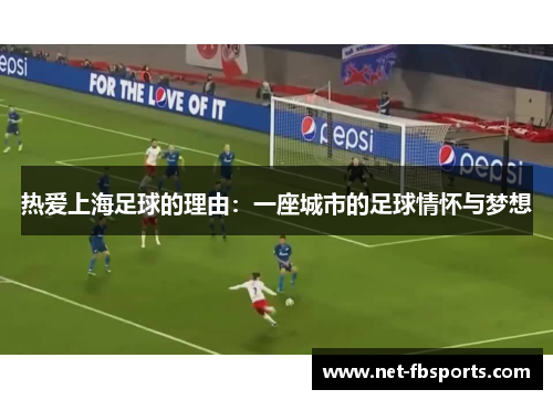 热爱上海足球的理由：一座城市的足球情怀与梦想