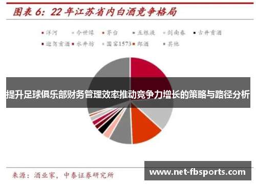 提升足球俱乐部财务管理效率推动竞争力增长的策略与路径分析