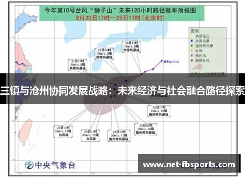 三镇与沧州协同发展战略：未来经济与社会融合路径探索