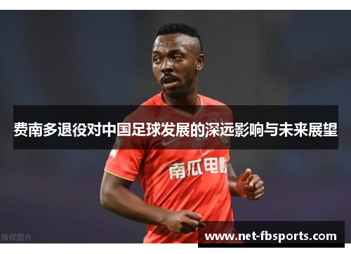 费南多退役对中国足球发展的深远影响与未来展望