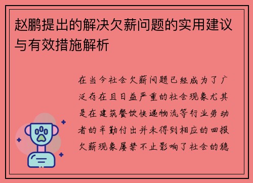赵鹏提出的解决欠薪问题的实用建议与有效措施解析