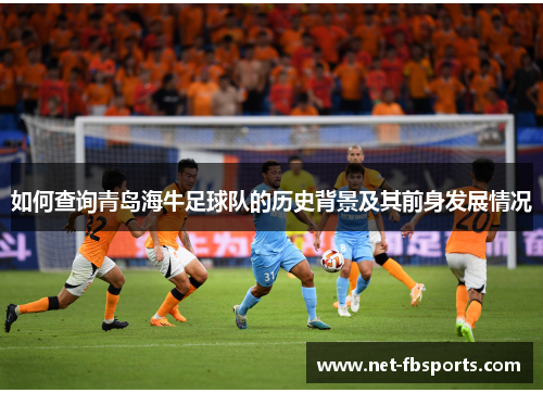 如何查询青岛海牛足球队的历史背景及其前身发展情况