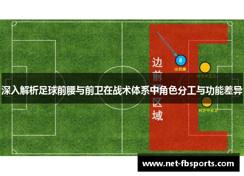 深入解析足球前腰与前卫在战术体系中角色分工与功能差异