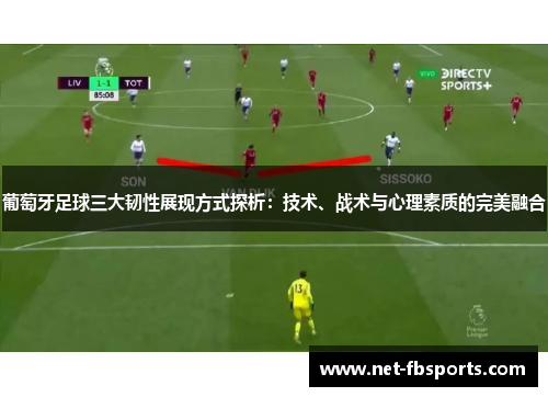 葡萄牙足球三大韧性展现方式探析：技术、战术与心理素质的完美融合