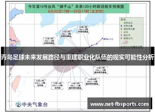 青岛足球未来发展路径与重建职业化队伍的现实可能性分析
