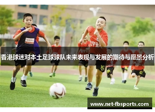 香港球迷对本土足球球队未来表现与发展的期待与愿景分析