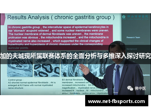 加的夫城现所属联赛体系的全面分析与多维深入探讨研究