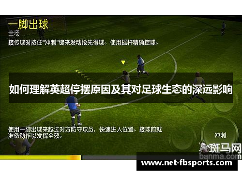如何理解英超停摆原因及其对足球生态的深远影响 如何理解英超停摆原因及其对足球生态的深远影响