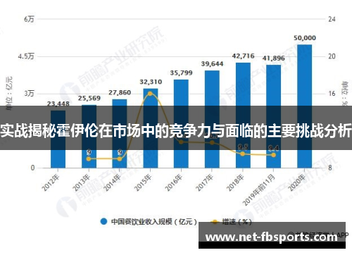 实战揭秘霍伊伦在市场中的竞争力与面临的主要挑战分析
