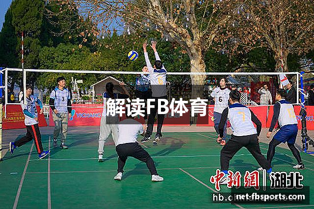 解读FB体育